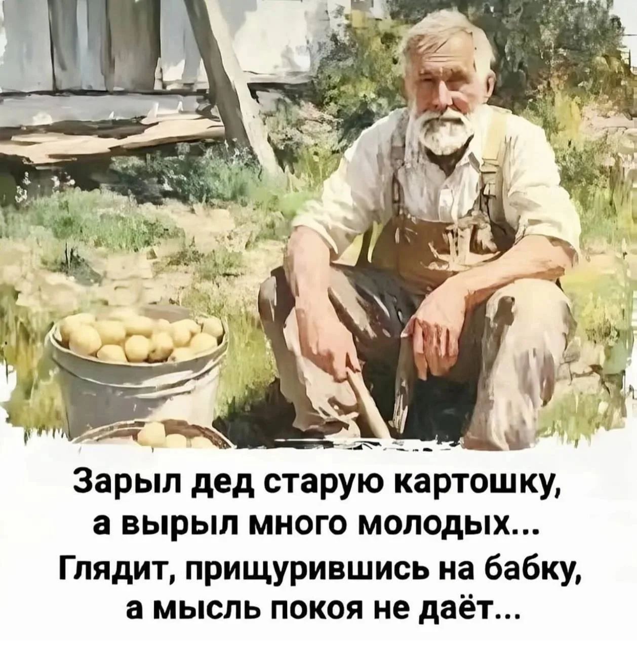 Зарыл дед старую картошку, а вырыл много молодых... Глядит, прищурившись на бабку, а мысль покоя не даёт...