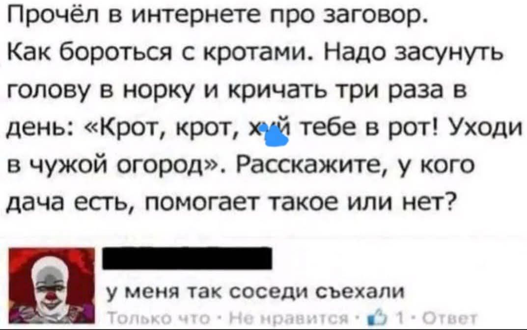 Прочёл в интернете про заговор. Как бороться с кротами. Надо засунуть голову в норку и кричать три раза в день: «Крот, крот, х*й тебе в рот! Уходи в чужой огород». Расскажите, у кого дача есть, помогает такое или нет? у меня так соседи съехали Только что • Не нравится • 1 • Ответ