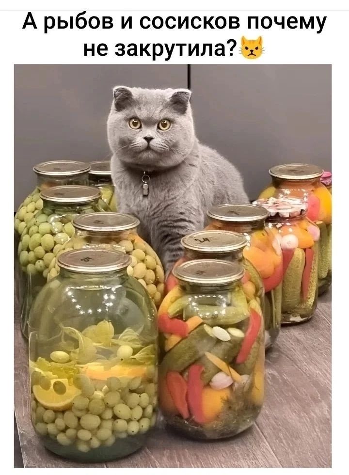 А рыбов и сосисков почему не закрутила? 😼