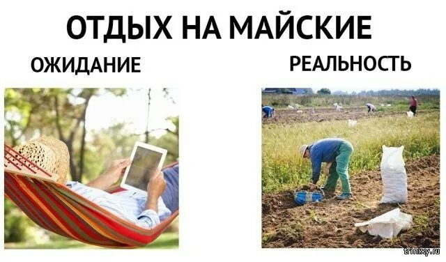 ОТДЫХ НА МАЙСКИЕ ОЖИДАНИЕ РЕАЛЬНОСТЬ. На картинке слева человек отдыхает в гамаке с планшетом. На картинке справа люди работают в поле, копают картошку.