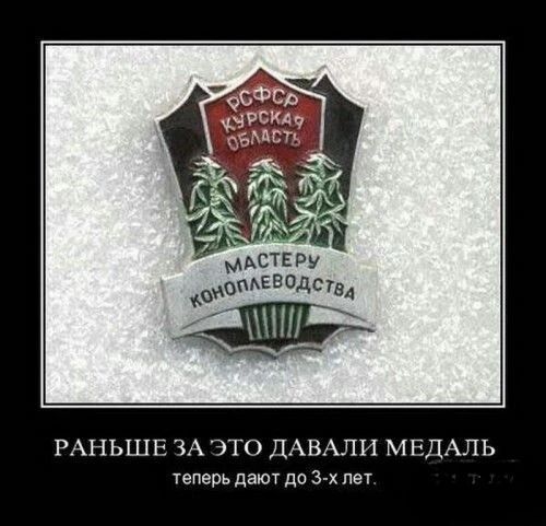 РСФСР КУРСКАЯ ОБЛАСТЬ МАСТЕРУ КОНОПЛЕВОДСТВА РАЛЬШЕ ЗА ЭТО ДАВАЛИ МЕДАЛЬ теперь дают до 3-х лет.