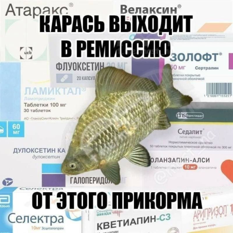 Атаракс, Велаксин, Золофт, Флуоксетин, Ламиктал, Седалит, Дулоксетин, Оланзапин-Алси, Галоперидол, Селектра, Кветиапин-С3, Арипипразол. Карась выходит в ремиссию от этого прикорма.