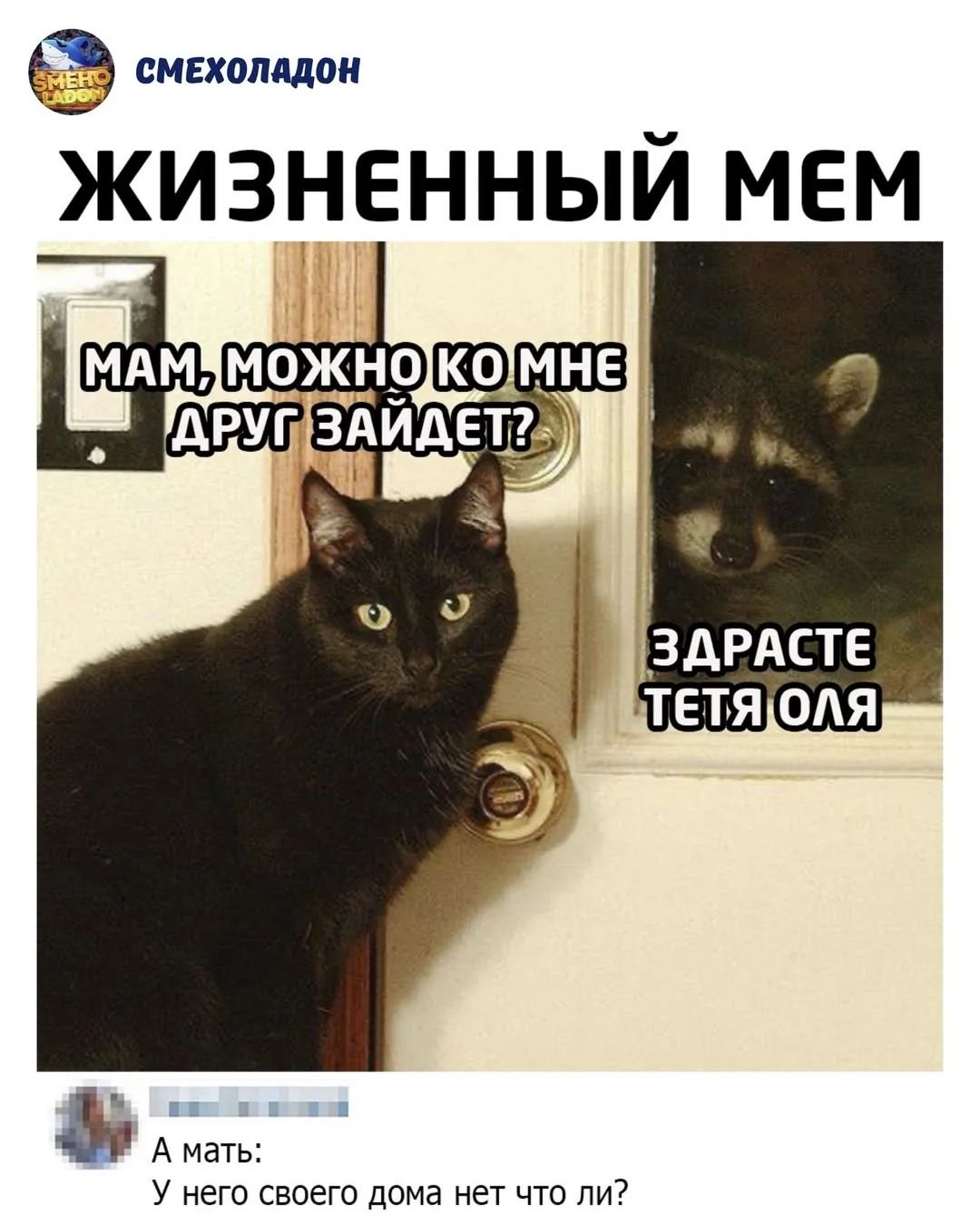 СМЕХОЛАДОН ЖИЗНЕННЫЙ МЕМ МАМ, МОЖНО КО МНЕ ДРУГ ЗАЙДЕТ? ЗДРАСТЕ ТЕТЯ ОЛЯ А мать: У него своего дома нет что ли?