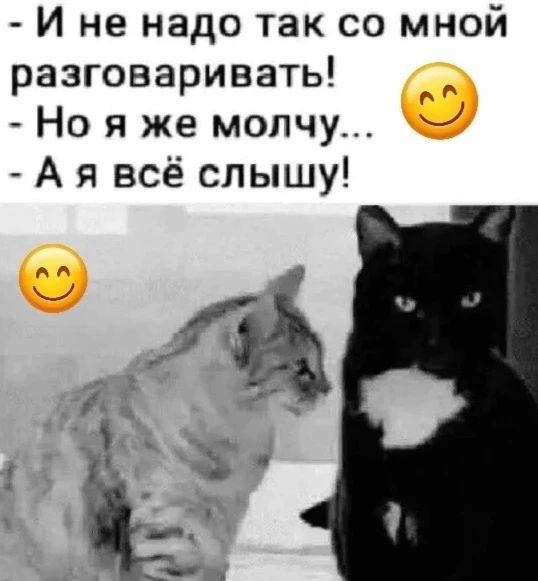 И не надо так со мной разговаривать! Но я же молчу... А я всё слышу!