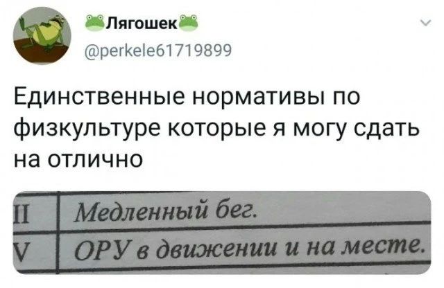 Лягошек @perkele61719899 Единственные нормативы по физкультуре которые я могу сдать на отлично II Медленный бег. V ОРУ в движении и на месте.