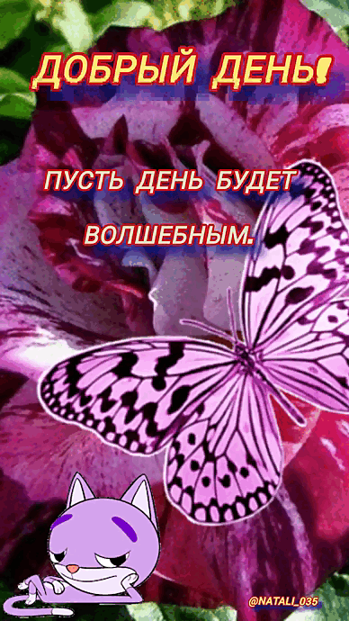 ДОБРЫЙ ДЕНЬ! ПУСТЬ ДЕНЬ БУДЕТ ВОЛШЕБНЫМ.