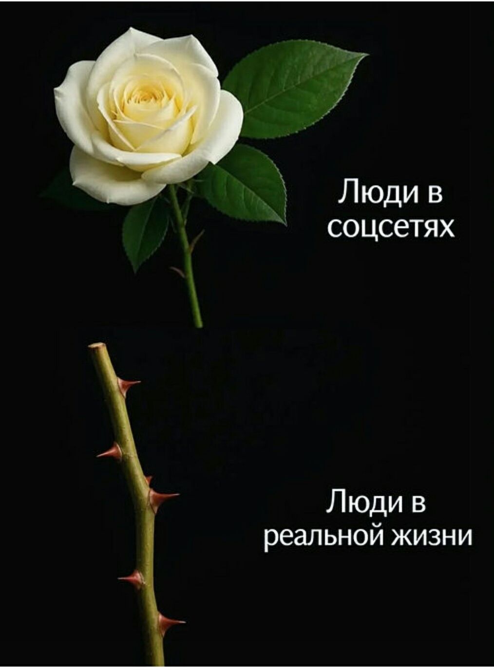 Люди в соцсетях, Люди в реальной жизни