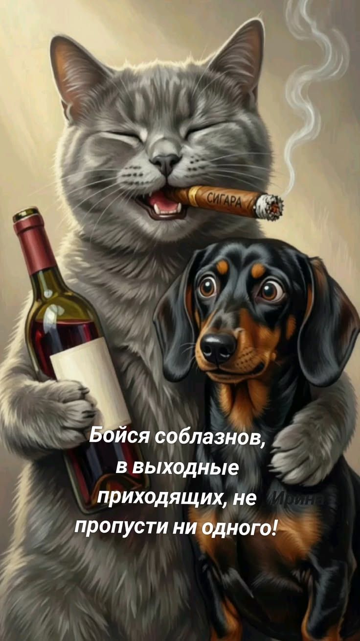 СИГАРА Бойся соблазнов, в выходные приходящих, не пропусти ни одного!