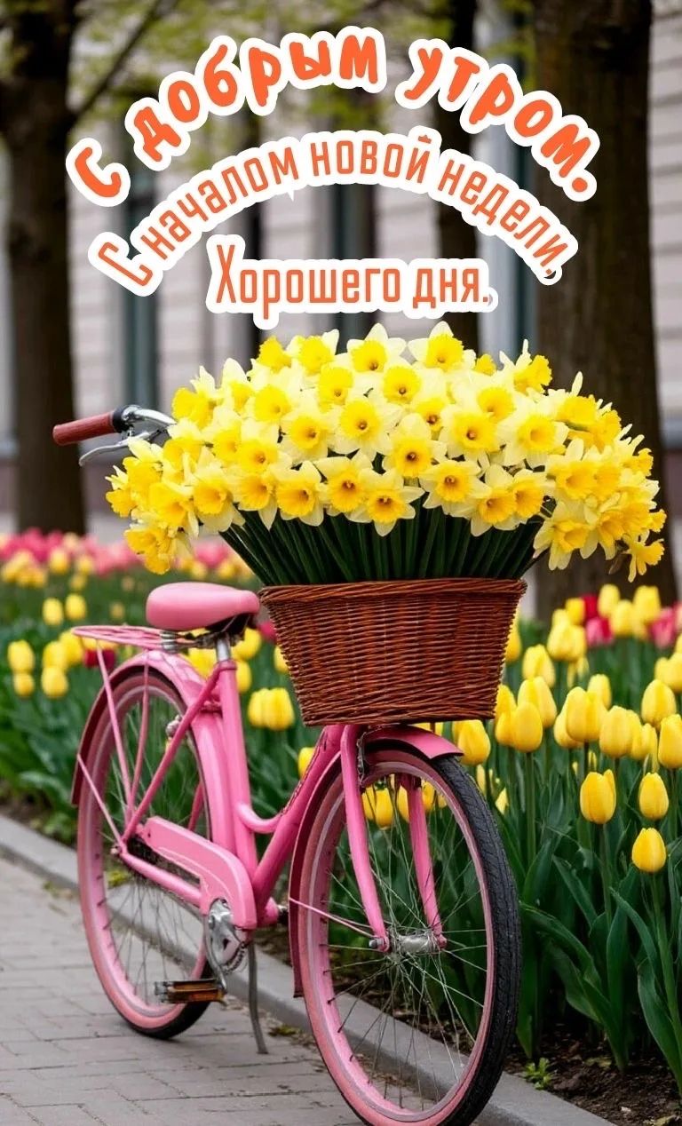 С добрым утром. С началом новой недели. Хорошего дня.