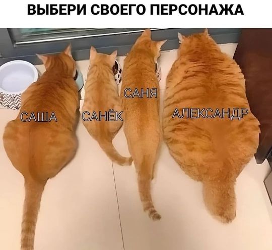 ВЫБЕРИ СВОЕГО ПЕРСОНАЖА САША САНЁК САНЯ АЛЕКСАНДР