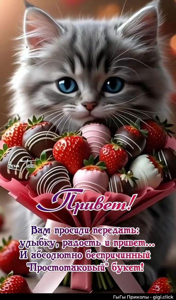 Привет! Вам просили передать: улыбку, радость и привет... И абсолютно беспричинный 