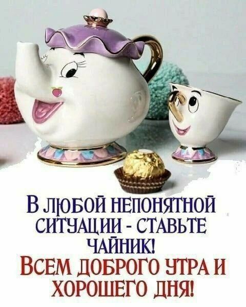В ЛЮБОЙ НЕПОНЯТНОЙ СИТУАЦИИ - СТАВЬТЕ ЧАЙНИК! ВСЕМ ДОБРОГО УТРА И ХОРОШЕГО ДНЯ!