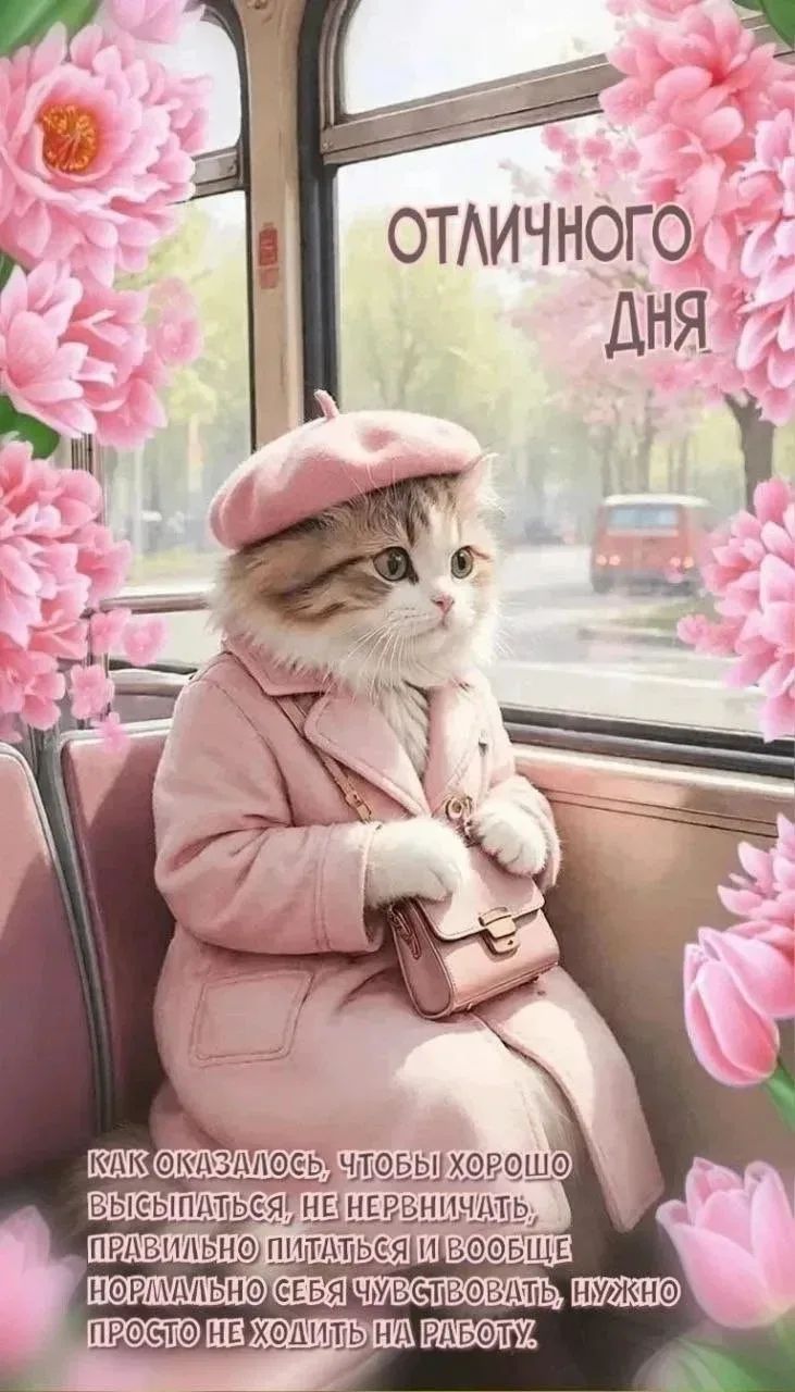ОТЛИЧНОГО ДНЯ КАК ОКАЗАЛОСЬ, ЧТОБЫ ХОРОШО ВЫСЫПАТЬСЯ, НЕ НЕРВНИЧАТЬ, ПРАВИЛЬНО ПИТАТЬСЯ И ВООБЩЕ НОРМАЛЬНО СЕБЯ ЧУВСТВОВАТЬ, НУЖНО ПРОСТО НЕ ХОДИТЬ НА РАБОТУ.