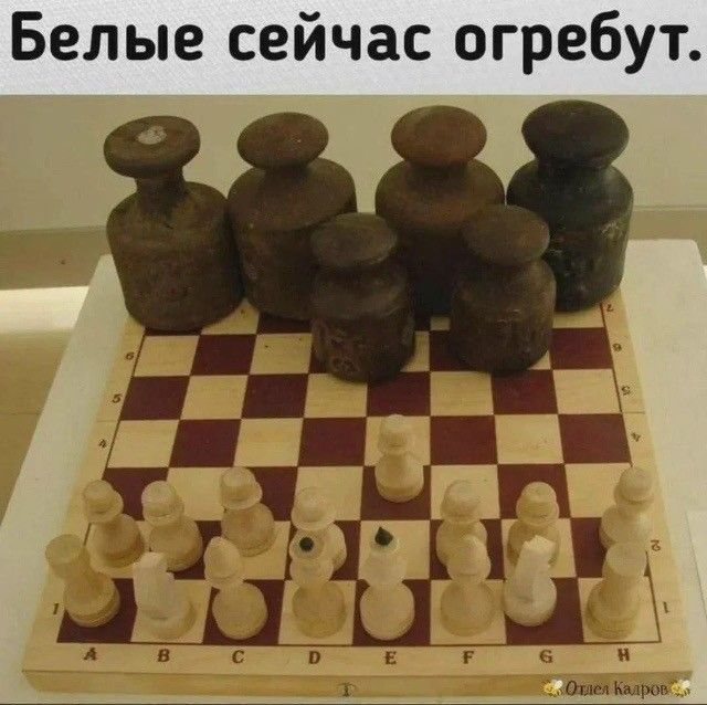Белые сейчас огребут. Отдел кадров