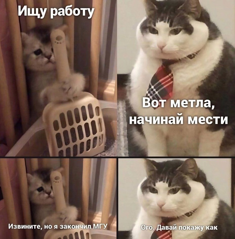 Ищу работу
Вот метла, начинай мести
Извините, но я закончил МГУ
Ого. Давай покажу как