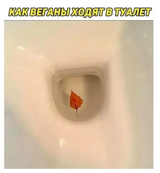 КАК ВЕГАНЫ ХОДЯТ В ТУАЛЕТ