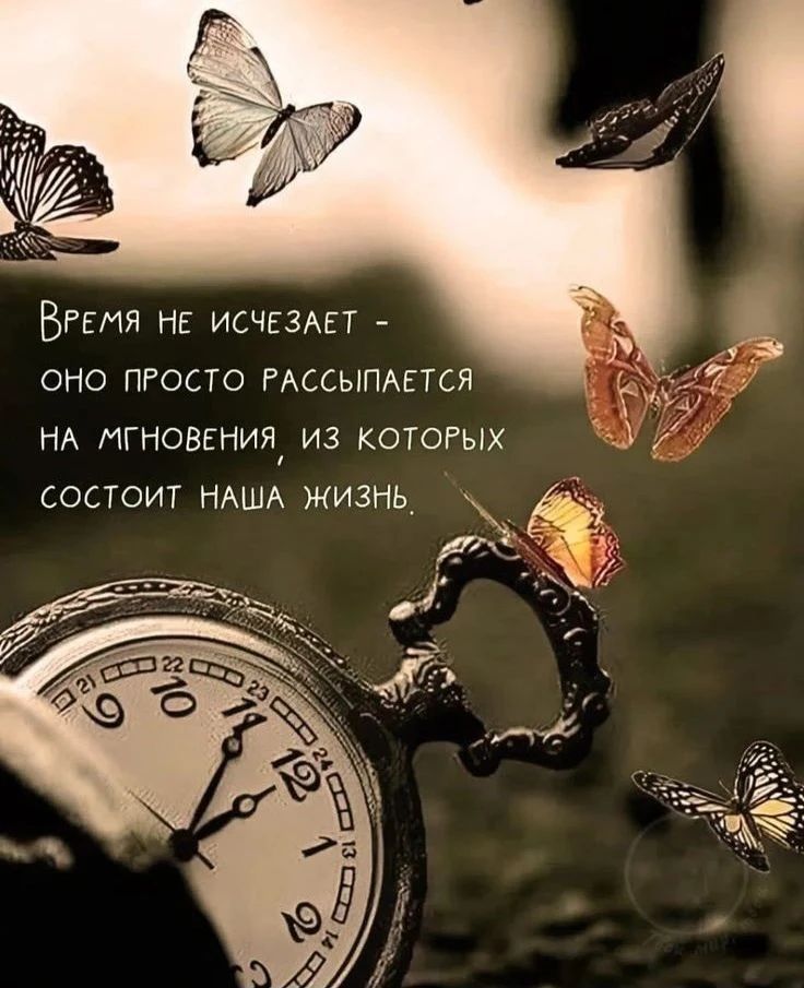 Время не исчезает - оно просто рассыпается на мгновения, из которых состоит наша жизнь.