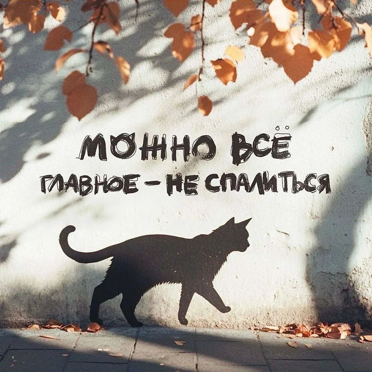 МОЖНО ВСЁ ГЛАВНОЕ - НЕ СПАЛИТЬСЯ