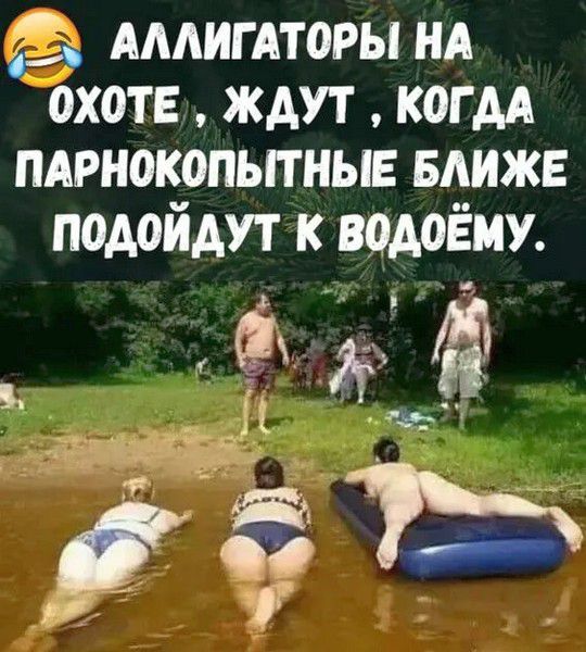 АЛЛИГАТОРЫ НА ОХОТЕ, ЖДУТ, КОГДА ПАРНОКОПЫТНЫЕ БЛИЖЕ ПОДОЙДУТ К ВОДОЁМУ.