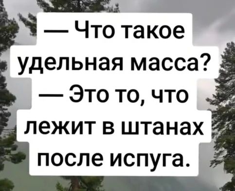Что такое удельная масса? Это то, что лежит в штанах после испуга.