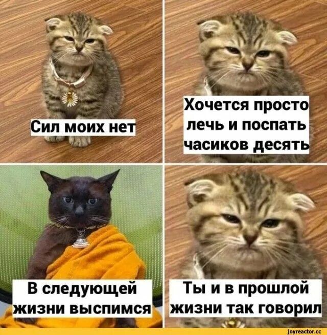 Сил моих нет Хочется просто лечь и поспать часиков десять В следующей жизни выспимся Ты и в прошлой жизни так говорил