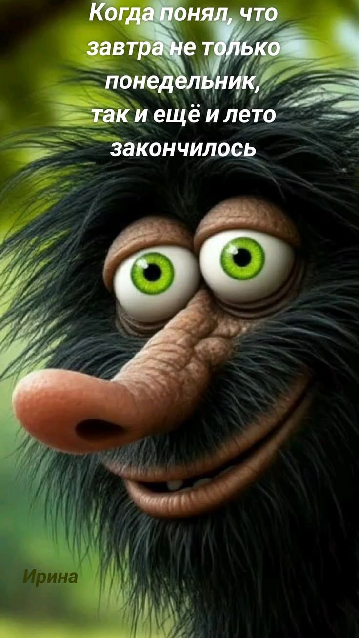 Когда понял, что завтра не только понедельник, так и ещё и лето закончилось
