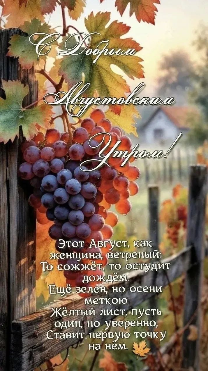 С Добрым Августовским Утром! Этот Август, как женщина, ветреный: То сожжёт, то остудит дождём. Ещё зелен, но осени меткою Жёлтый лист, пусть один, но уверенно, Ставит первую точку на нём.