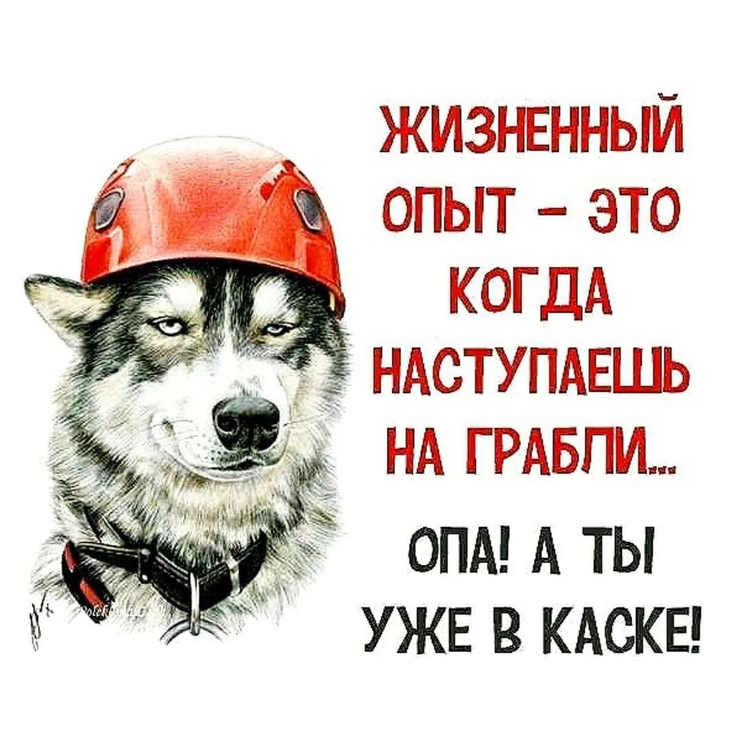ЖИЗНЕННЫЙ ОПЫТ – ЭТО КОГДА НАСТУПАЕШЬ НА ГРАБЛИ... ОПА! А ТЫ УЖЕ В КАСКЕ!