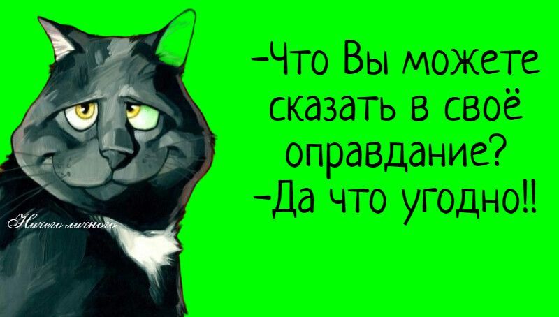 - Что Вы можете сказать в своё оправдание? - Да что угодно!!