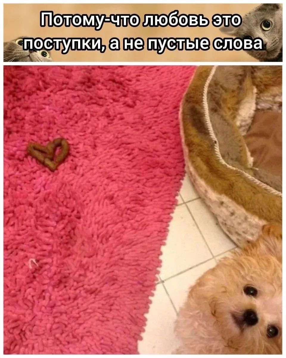 Потому-что любовь это поступки, а не пустые слова