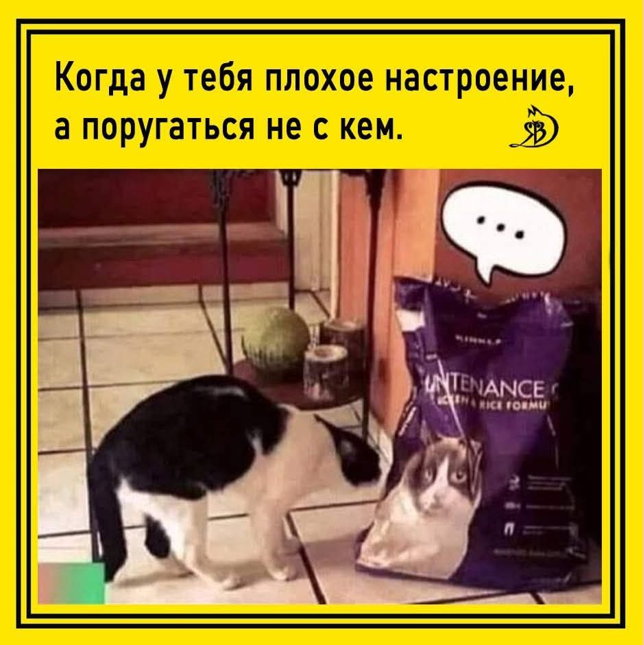 Когда у тебя плохое настроение, а поругаться не с кем.