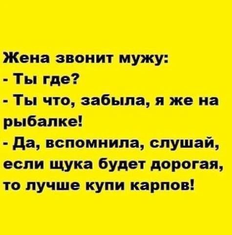 Жена звонит мужу: - Ты где? - Ты что, забыла, я же на рыбалке! - Да, вспомнила, слушай, если щука будет дорогая, то лучше купи карпов!