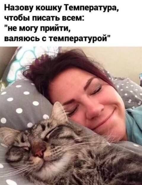 Назову кошку Температура, чтобы писать всем: 'не могу прийти, валяюсь с температурой'