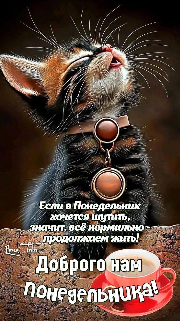 Если в Понедельник хочется шутить, значит, всё нормально - продолжаем жить! Доброго нам Понедельника!