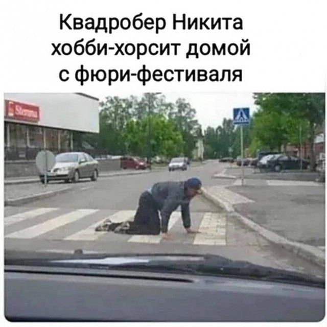 Квадробер Никита хобби-хорсит домой с фьюри-фестиваля