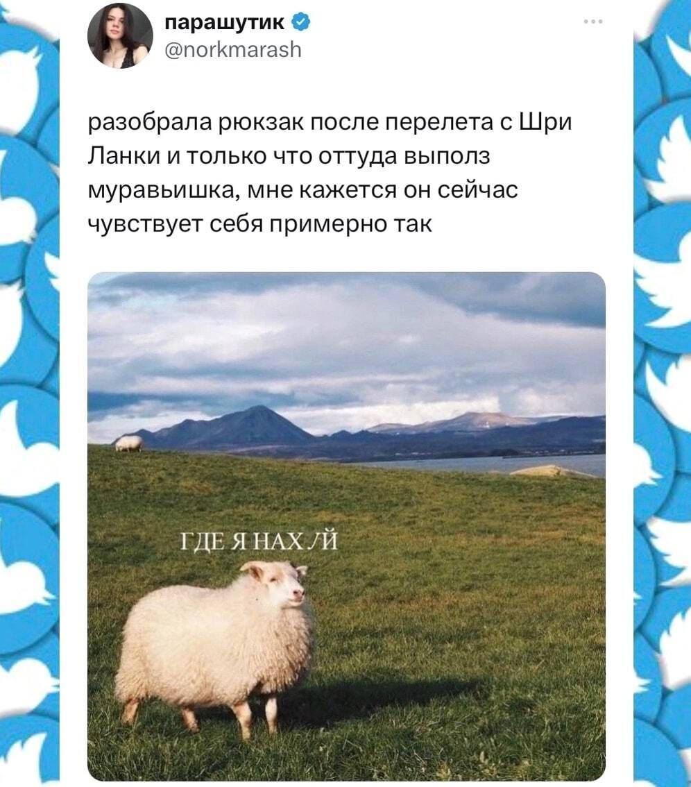 парашутик @norkmarash разобрала рюкзак после перелета с Шри Ланки и только что оттуда выполз муравьишка, мне кажется он сейчас чувствует себя примерно так ГДЕ Я НАХЛЙ