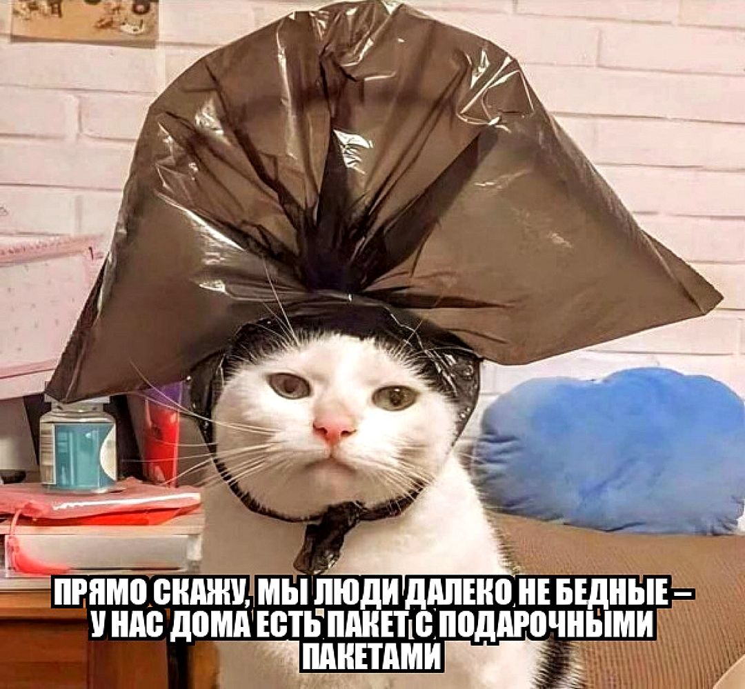 ПРЯМО СКАЖУ, МЫ ЛЮДИ ДАЛЕКО НЕ БЕДНЫЕ — У НАС ДОМА ЕСТЬ ПАКЕТ С ПОДАРОЧНЫМИ ПАКЕТАМИ