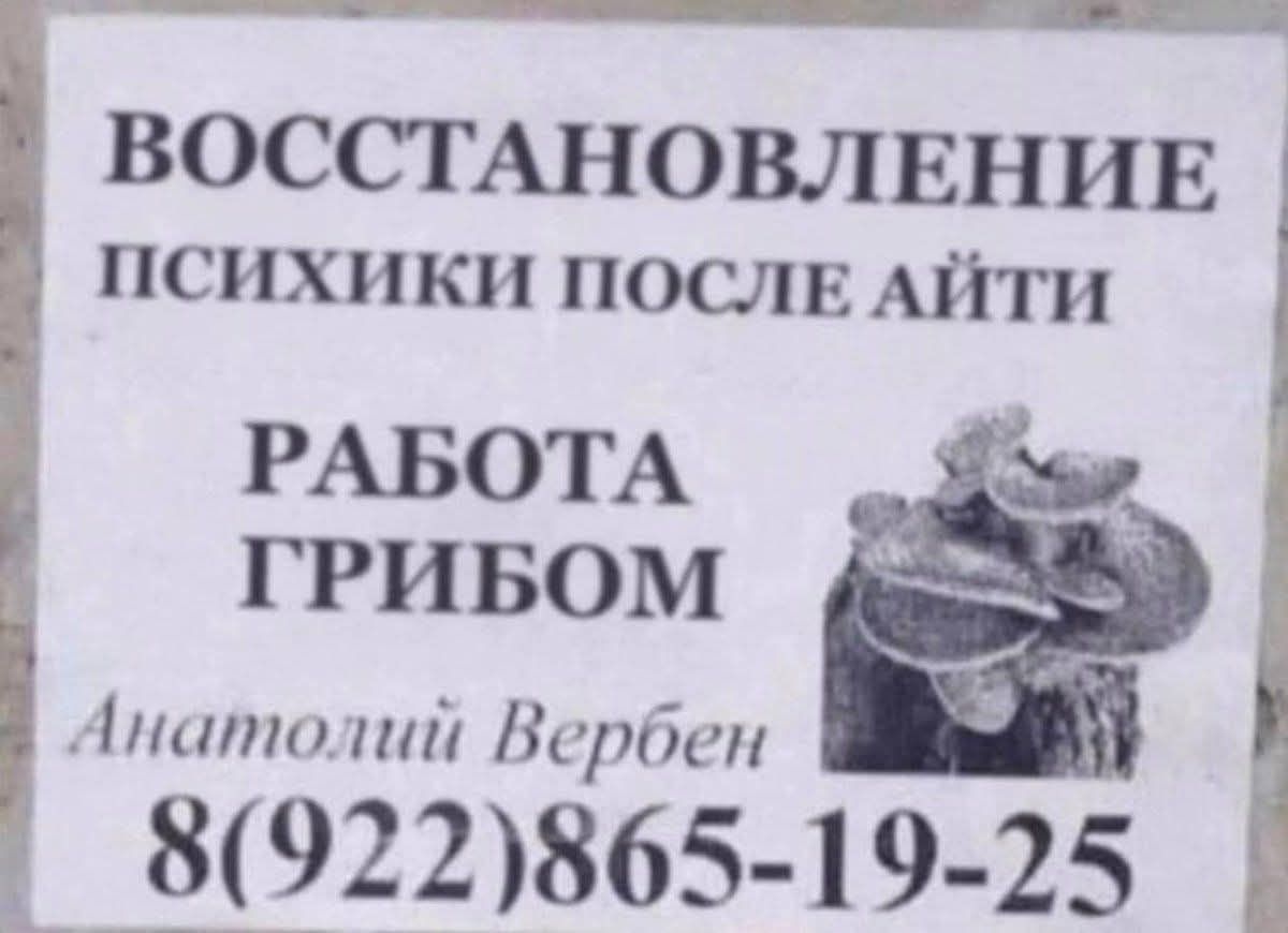 ВОССТАНОВЛЕНИЕ ПСИХИКИ ПОСЛЕ АЙТИ РАБОТА ГРИБОМ Анатолий Вербен 8(922)865-19-25