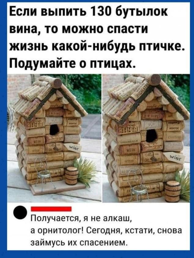 Если выпить 130 бутылок вина, то можно спасти жизнь какой-нибудь птичке. Подумайте о птицах. Получается, я не алкаш, а орнитолог! Сегодня, кстати, снова займусь их спасением.