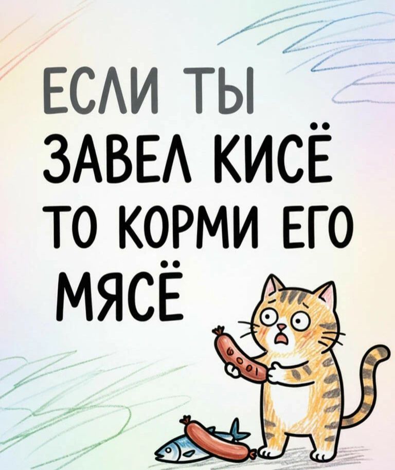 ЕСЛИ ТЫ ЗАВЕЛ КИСЁ ТО КОРМИ ЕГО МЯСЁ
