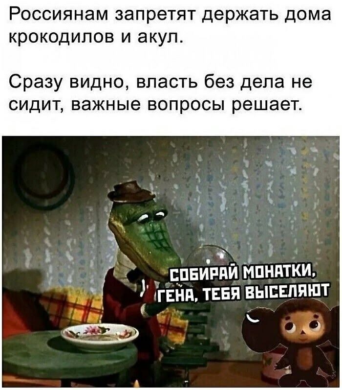 Россиянам запретят держать дома крокодилов и акул. Сразу видно, власть без дела не сидит, важные вопросы решает. СОБИРАЙ МОНАТКИ, ГЕНА, ТЕБЯ ВЫСЕЛЯЮТ