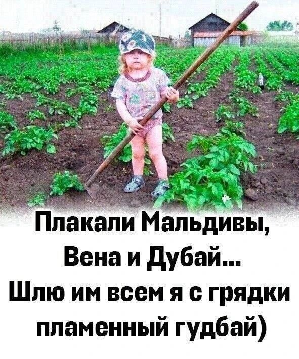 Плакали Мальдивы, Вена и Дубай... Шлю им всем я с грядки пламенный гудбай)
