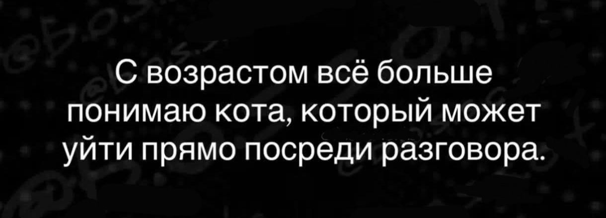 С возрастом всё больше понимаю кота, который может уйти прямо посреди разговора.