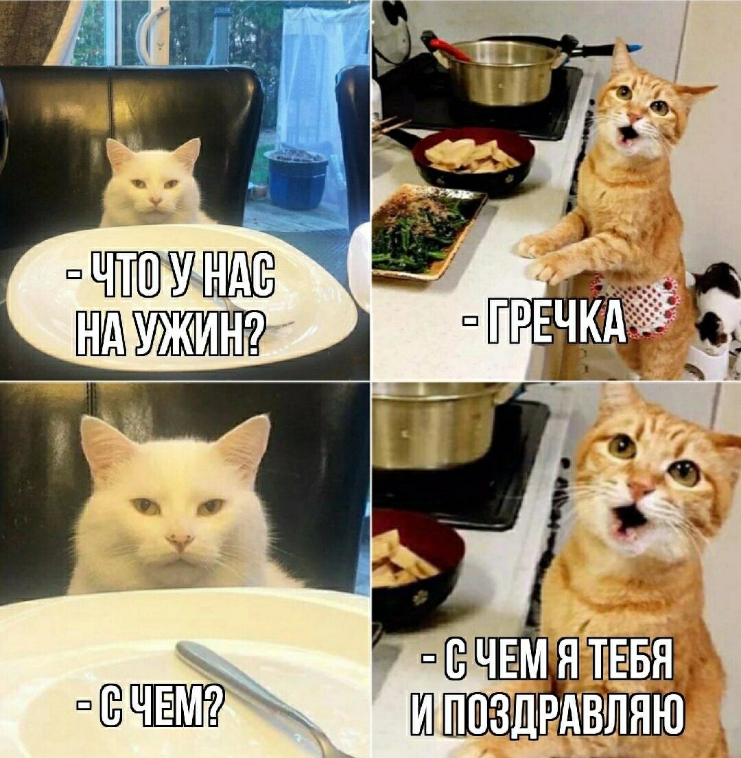 ЧТО У НАС НА УЖИН? ГРЕЧКА С ЧЕМ? С ЧЕМ Я ТЕБЯ И ПОЗДРАВЛЯЮ