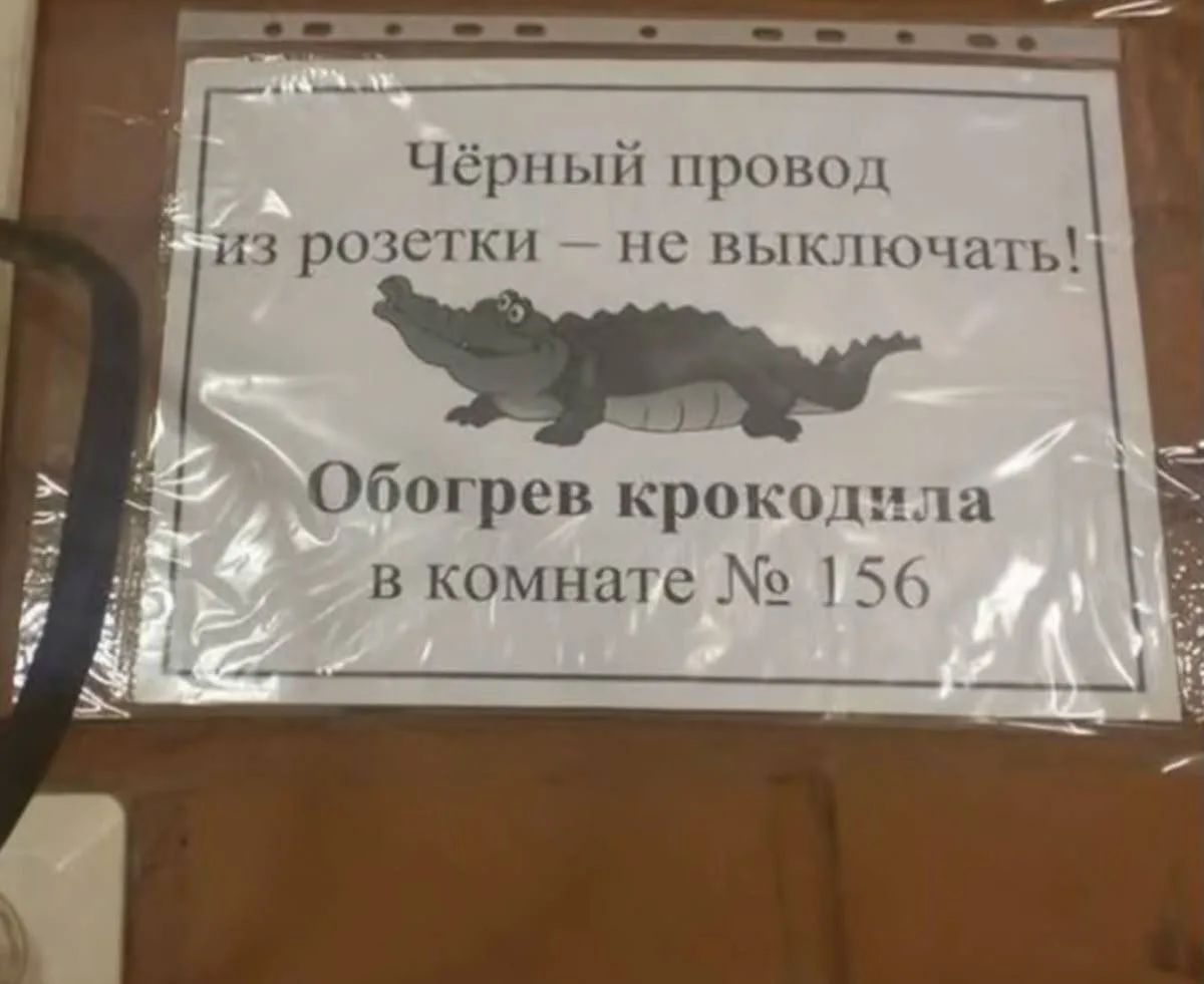 Чёрный провод из розетки - не выключать! Обогрев крокодила в комнате № 156
