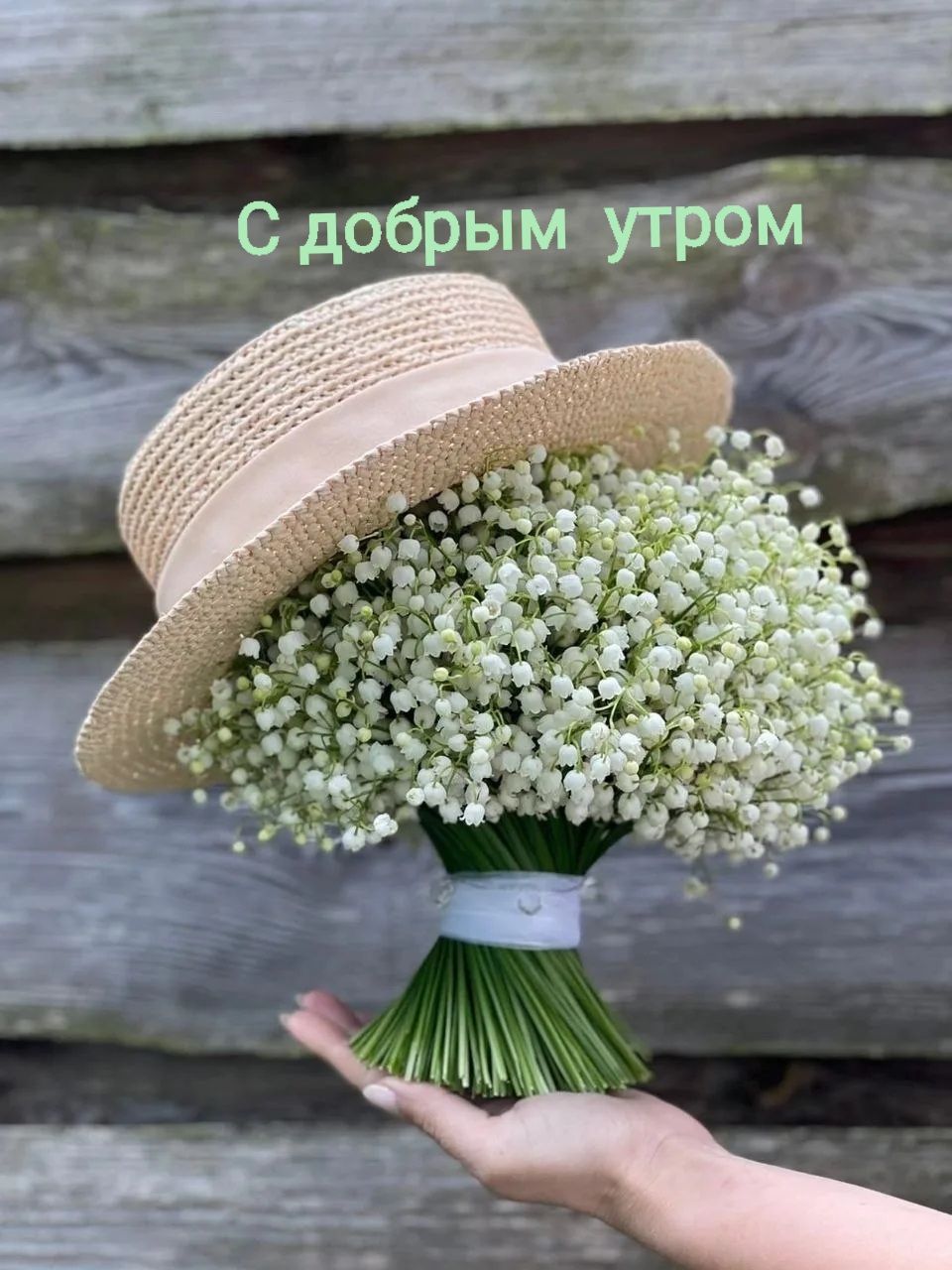 С добрым утром