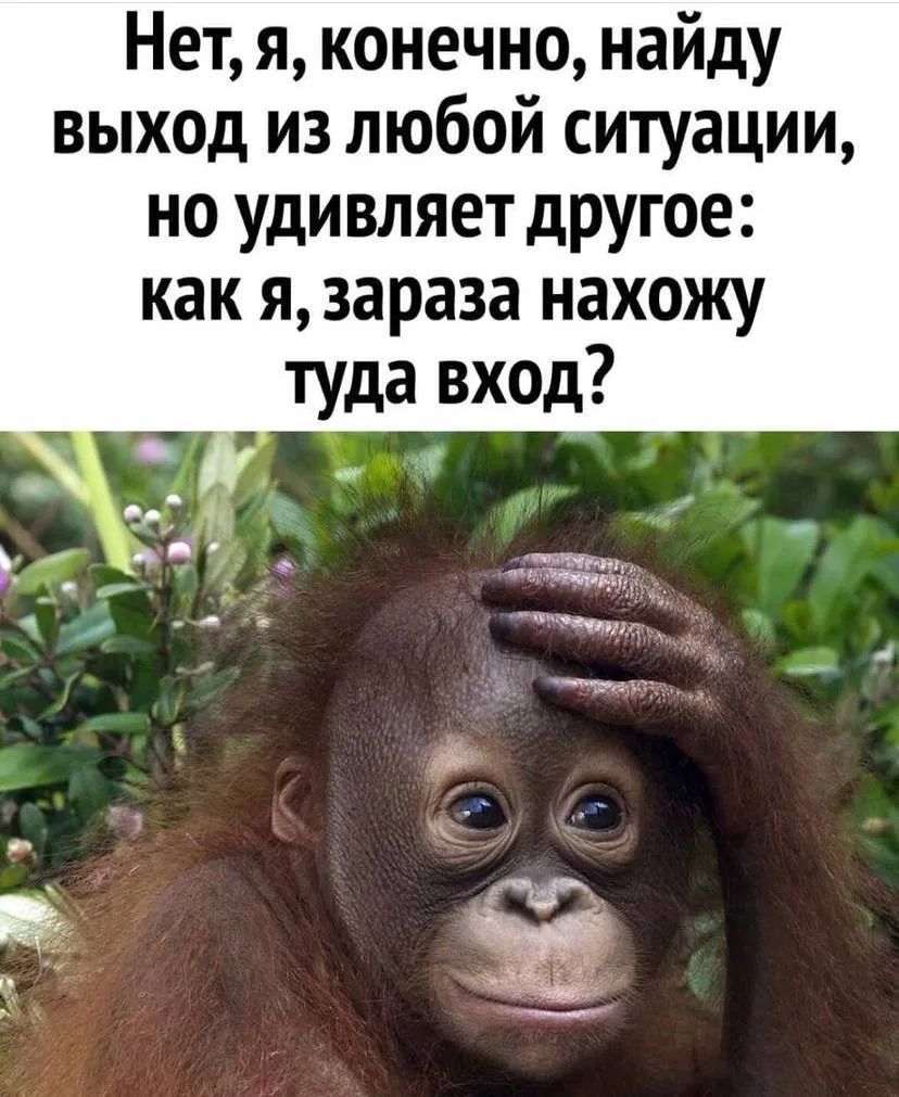 Нет, я, конечно, найду выход из любой ситуации, но удивляет другое: как я, зараза нахожу туда вход?