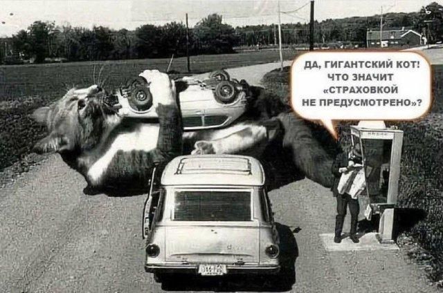 ДА, ГИГАНТСКИЙ КОТ! ЧТО ЗНАЧИТ «СТРАХОВКОЙ НЕ ПРЕДУСМОТРЕНО»? Гигантский кот держит перевернутую машину, а человек по телефону возмущается, что страховка не покрывает такой случай.