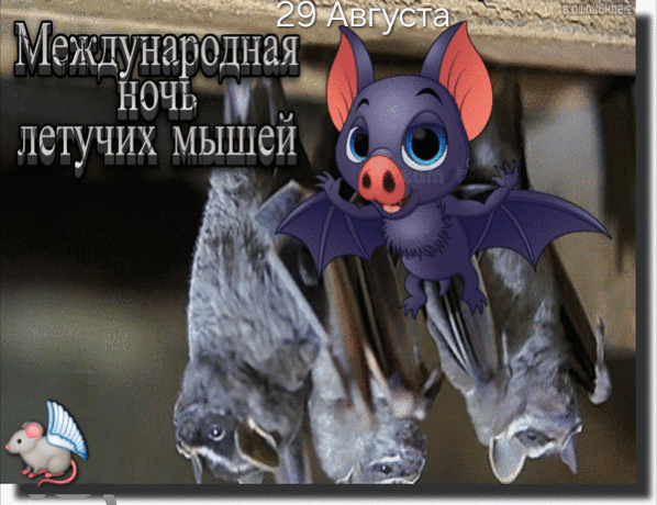 29 Августа Международная ночь летучих мышей