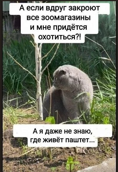 А если вдруг закроют все зоомагазины и мне придётся охотиться?! А я даже не знаю, где живёт паштет...